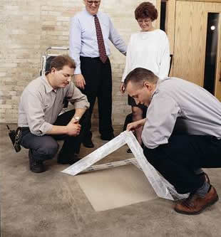 Carpet Stain Removal